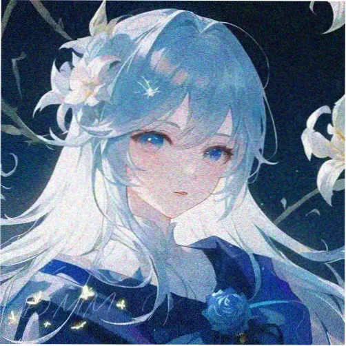 观众阿盐头像